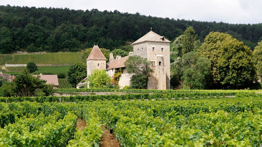 最貴酒 羅曼尼康帝 勒樺酒莊慕西尼 沃恩羅曼尼紅勃艮第 2020年 最貴紅酒 紅酒 Red Wine 紅酒推薦 Fine Wine Asia 紅酒推介 買紅酒 頂級紅酒 red wine Wine Searcher 上網買酒 紅酒推介