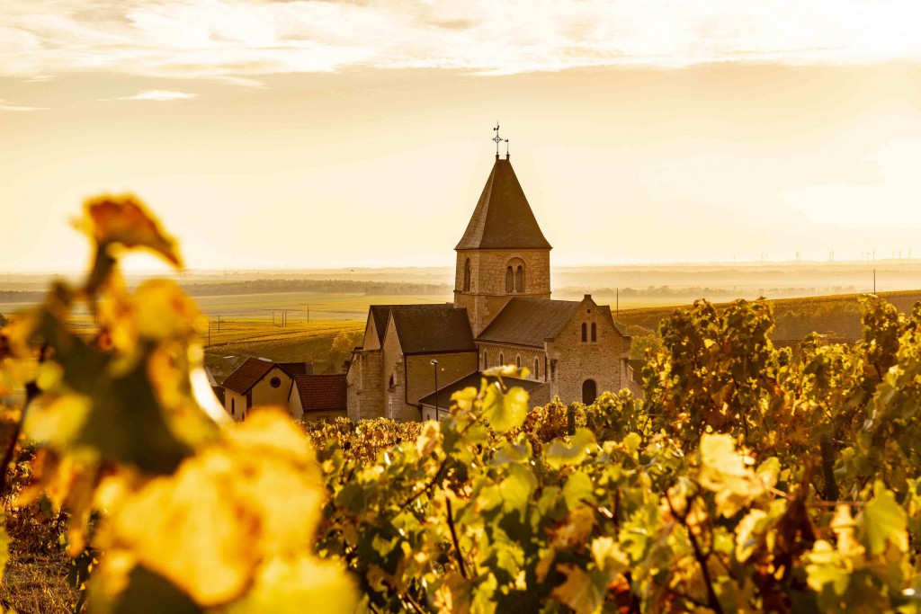 買酒 Champagne, Fine Wine Asia, 法國名莊酒, france red wine, 香檳推薦 Champagne, Champagne French Wine, 香港買酒網, 酒鋪, 上網買酒, 紅酒價格, 紅酒推介, 紅酒訂購, 紅酒送貨